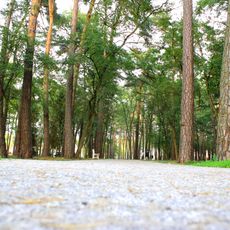 Park in Wieniec-Zdrój