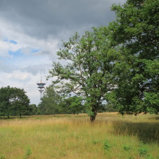 Gewann Frankreich-Wiesental