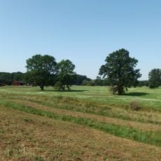 Nature park Mikulčický luh