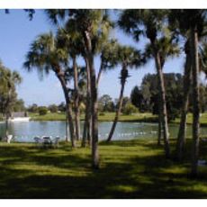 Warm Mineral Springs