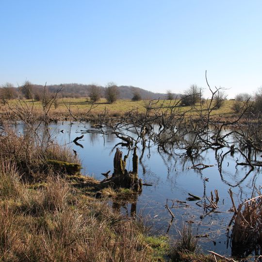 Treene Winderatter See bis Friedrichstadt und Bollingstedter Au