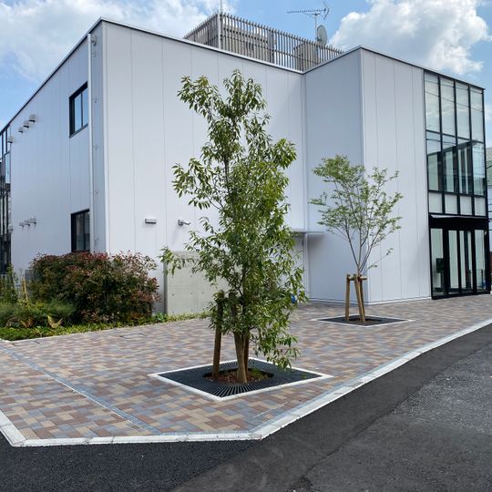 Tokai University Bosei Senior High School