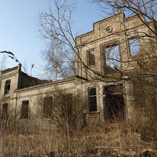 Janowice, Łęczyca County