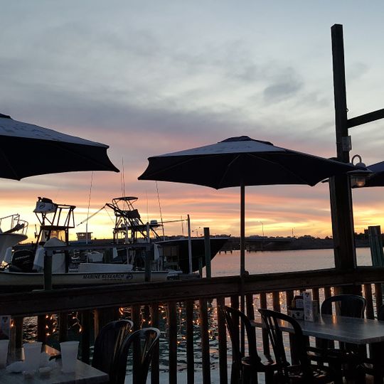 The Old Salty Dog