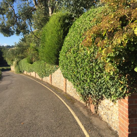 Garden Wall To Holly House