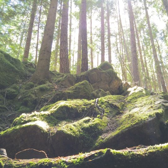 Horne Lake Caves Provincial Park