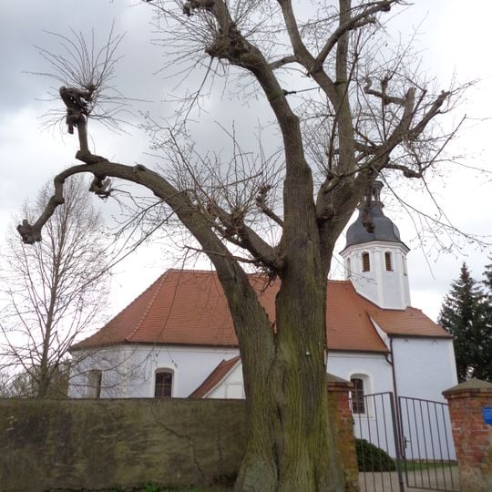 Naturdenkmal Sommerlinde in Lieskau
