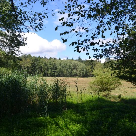 Hinterste Neuwiese bei Kronberg