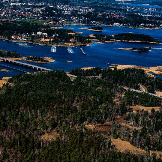 Svinö