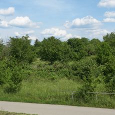 Tümpel mit Ödland und Streuobstwiese