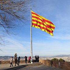 En homenatge a la bandera hissada pel President Lluís Companys