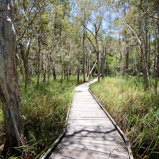 Burrum Coast National Park