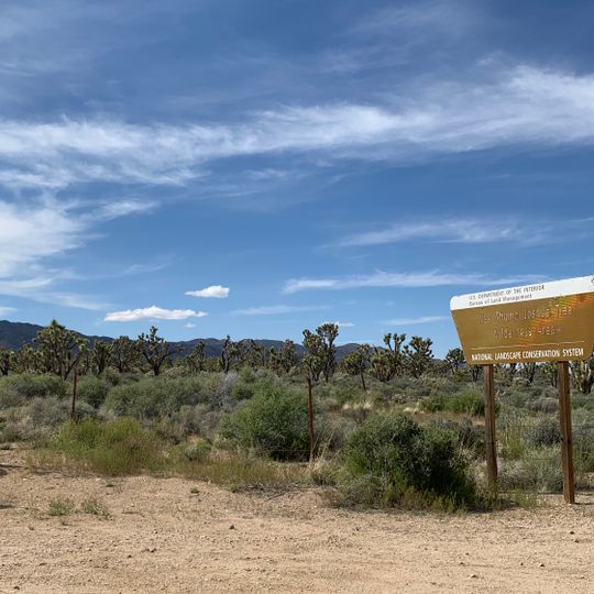 Wee Thump Joshua Tree Wilderness, Nevada