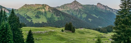 Gerard MESSY Profile Cover