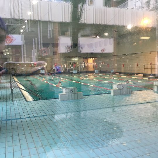 Piscine Cour des lions