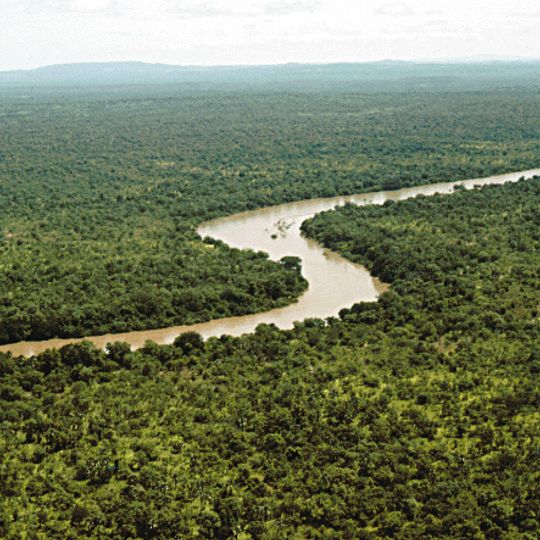 Gambia River