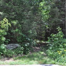 Mohegan State Forest