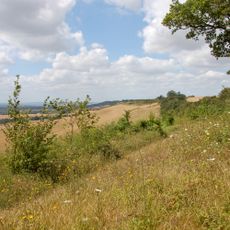 Hollingbourne Downs