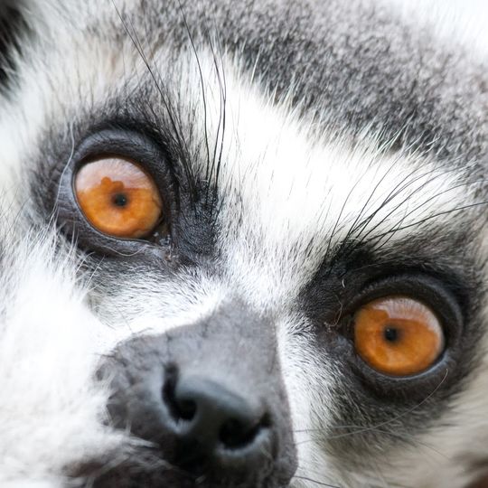 Woodside Wildlife Park