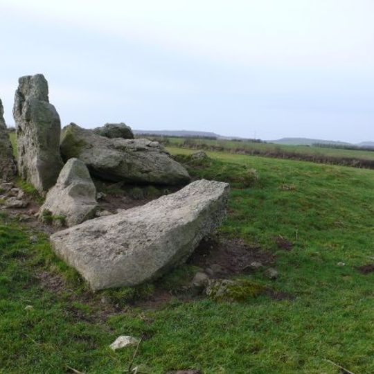 The Grey Mare and her Colts
