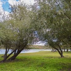Costești II settlement