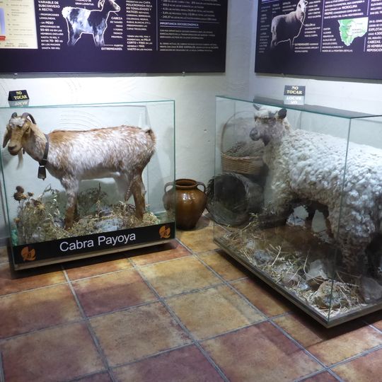 Centro de Interpretación del Queso de El Bosque