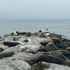Salty Brine State Beach