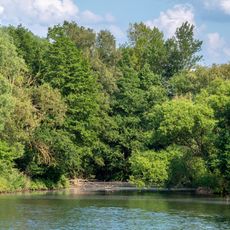 Altwässer an der Regnitzmündung bei Bamberg und bei Viereth