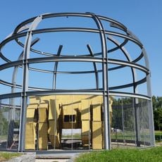 Animaris rhinoceros transport