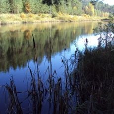 Rašeliniště Černého rybníka