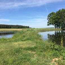 Langenbachgrund und Haarweiherkette