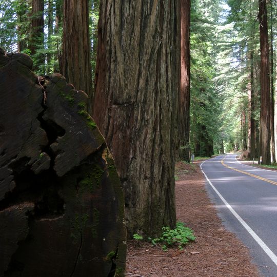 California State Route 254