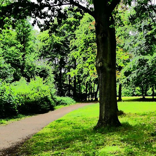 Blohms Park