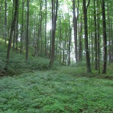 Kalkberge bei Röhrda und Weißenborn