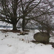 Kříž západně od Janovic u hlavní silnice