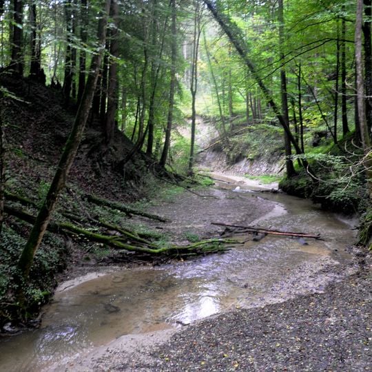Schmalegger und Rinkenburger Tobel