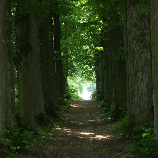 Park z aleją lipową