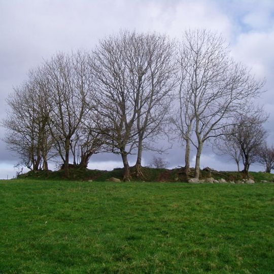 Cabragh Ringfort