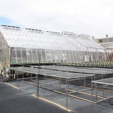 Meringa Sugar Experiment Station