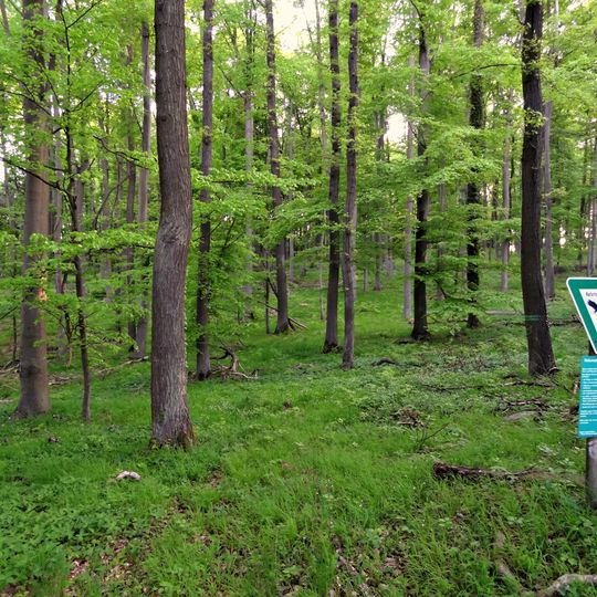 Naturschutzgebiet Wehrholz