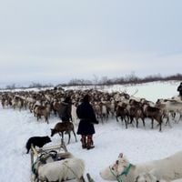 Nenets Özerk Okrugu