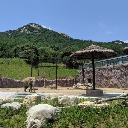 青岛森林野生动物世界