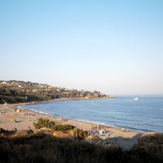 Playa de Cala Sardina