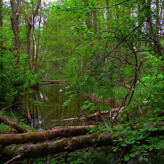 Boissower See und Südteil des Neuenkirchener Sees