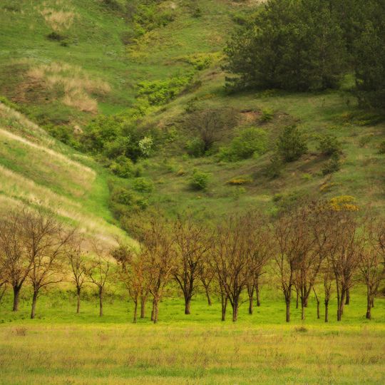Novomykolajivs'kyj landscape preserve