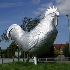 Dorking Cockerel