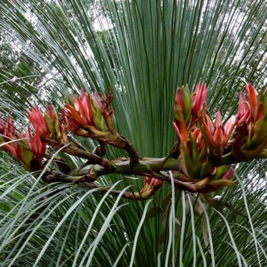 Brunswick Valley Heritage Park