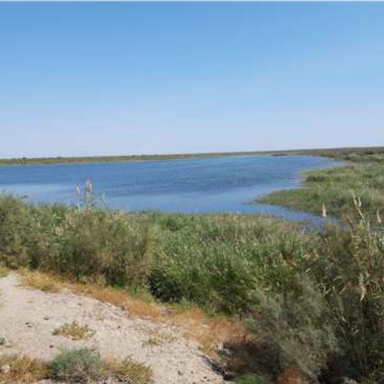 State wildlife sanctuary "Qumsulton"