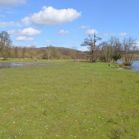 Temple Island Meadows