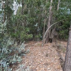 Mamoa da Quinta da Laje